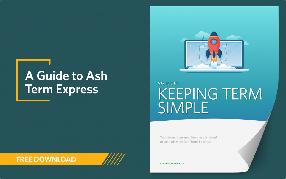 concept-piece-download-40062-guide-to-ash-term-express