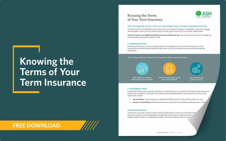 concept-piece-download-knowing-the-terms-of-your-term-insurance